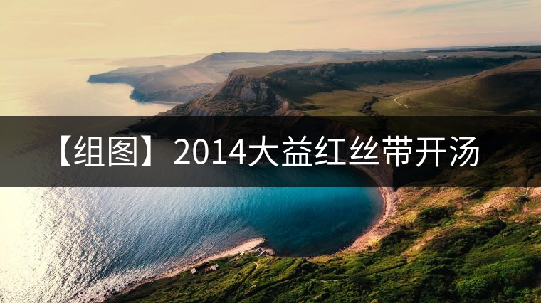 【組圖】2014大益紅絲帶開湯