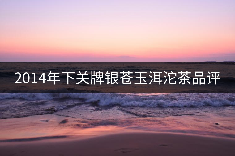2014年下關(guān)牌銀蒼玉洱沱茶品評