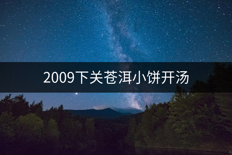 2009下關(guān)蒼洱小餅開湯