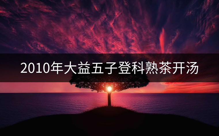 2010年大益五子登科熟茶開湯