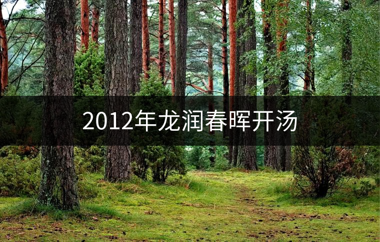 2012年龍潤春暉開湯