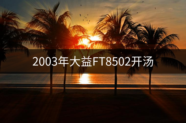 2003年大益FT8502開湯