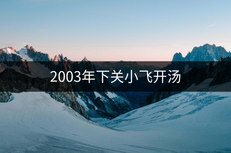 2003年下關(guān)小飛開(kāi)湯