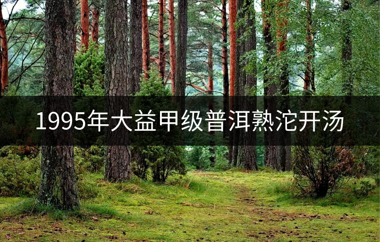 1995年大益甲級(jí)普洱熟沱開湯
