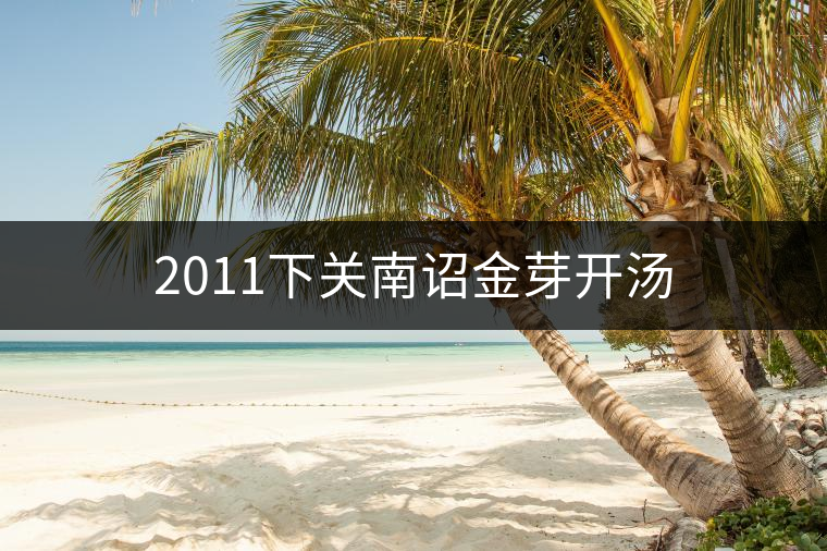 2011下關(guān)南詔金芽開湯