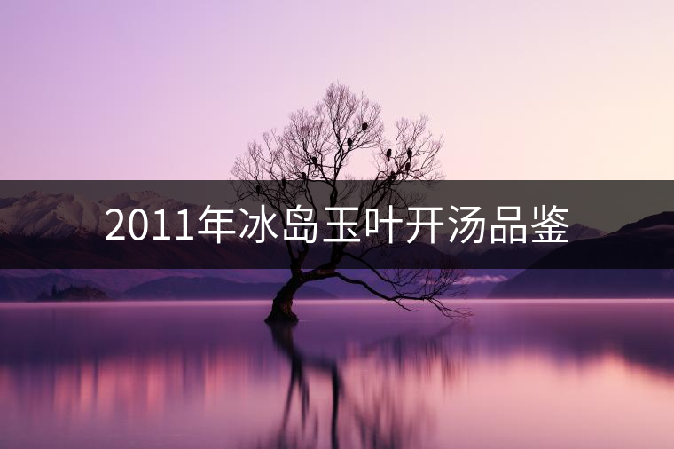 2011年冰島玉葉開湯品鑒