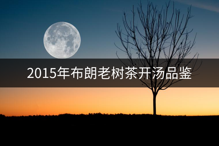 2015年布朗老樹茶開湯品鑒