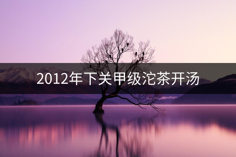 2012年下關(guān)甲級(jí)沱茶開湯