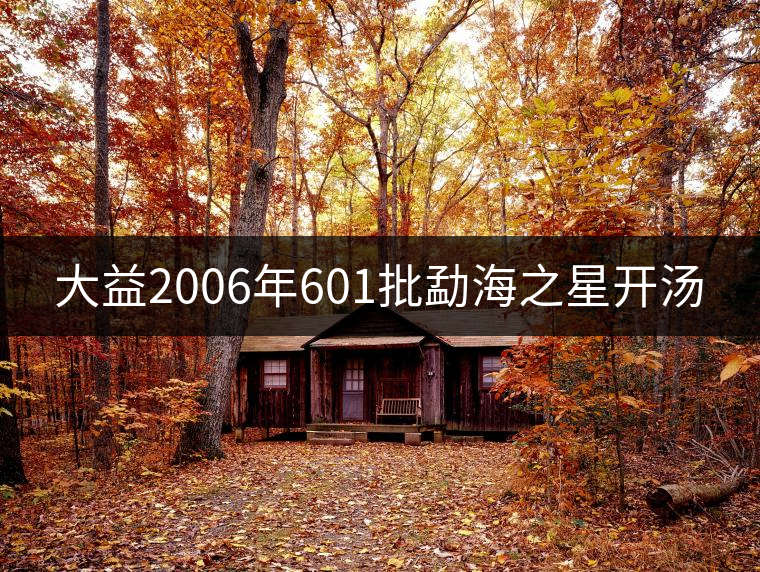 大益2006年601批勐海之星開湯