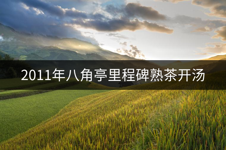 2011年八角亭里程碑熟茶開湯 2011年八角亭里程碑熟茶開湯