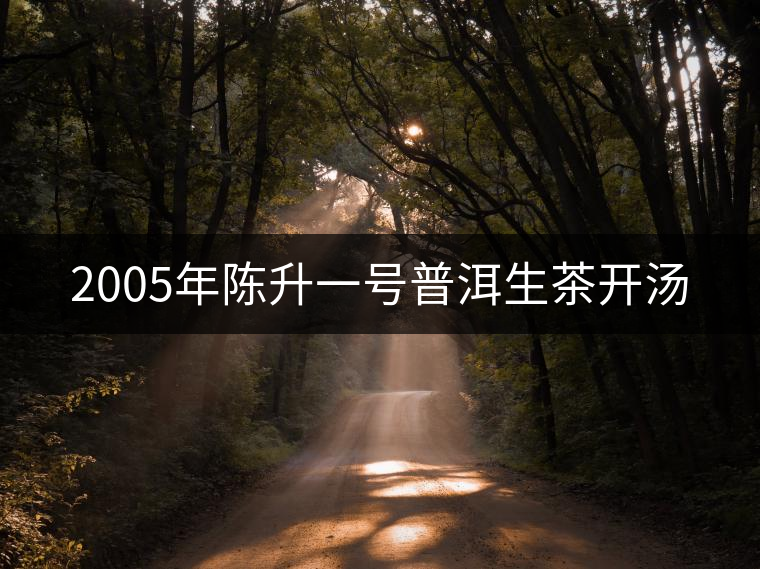 2005年陳升一號普洱生茶開湯