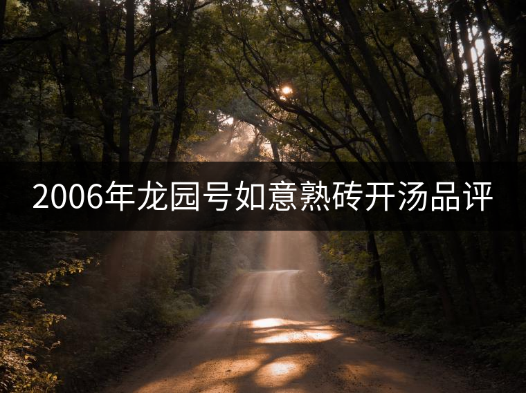 2006年龍園號(hào)如意熟磚開湯品評(píng)