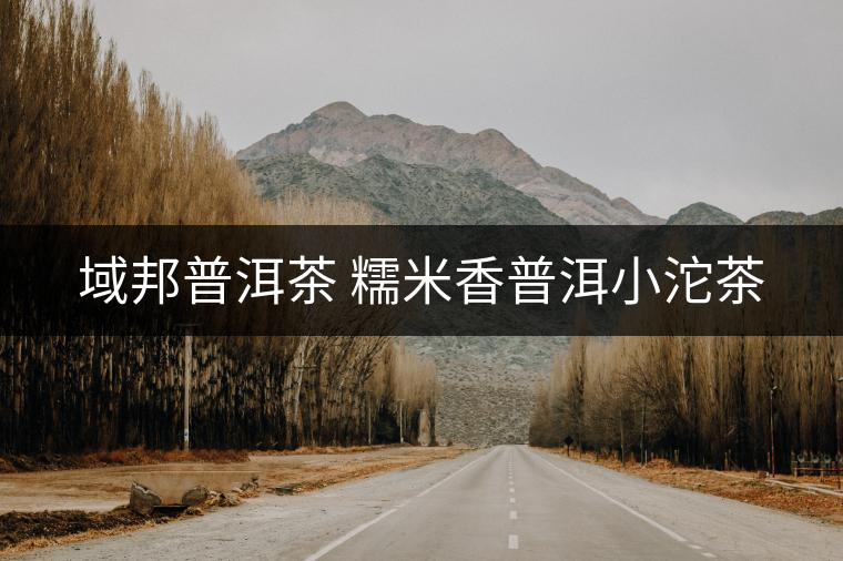 域邦普洱茶 糯米香普洱小沱茶