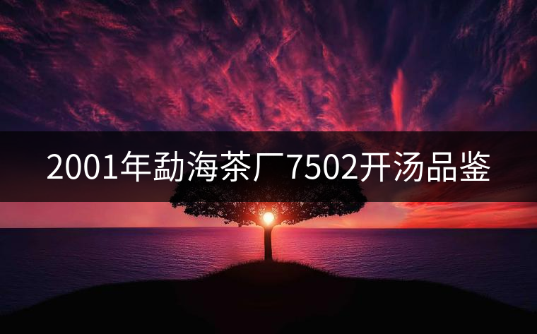 2001年勐海茶廠7502開(kāi)湯品鑒