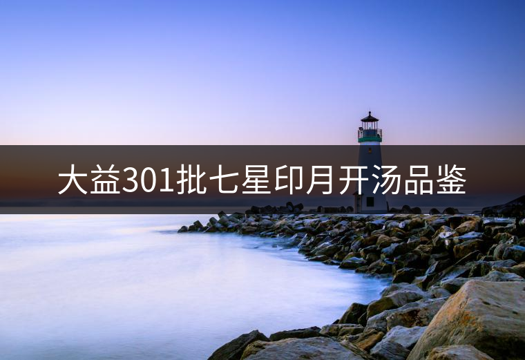 大益301批七星印月開湯品鑒