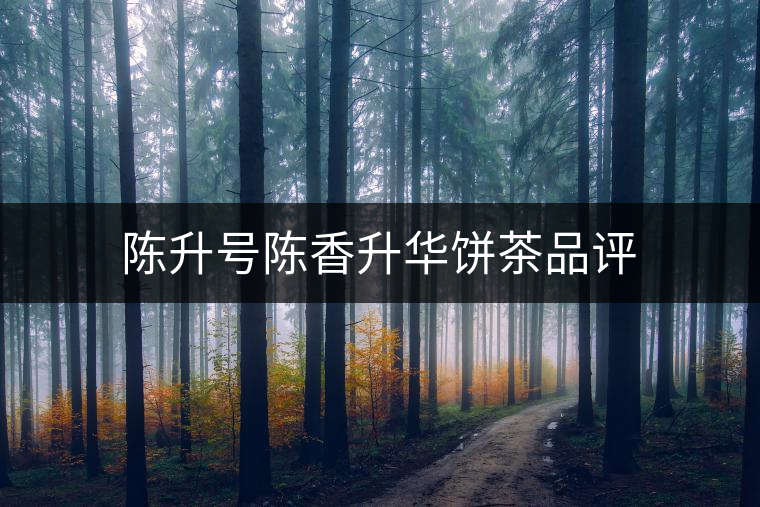 陳升號(hào)陳香升華餅茶品評(píng)