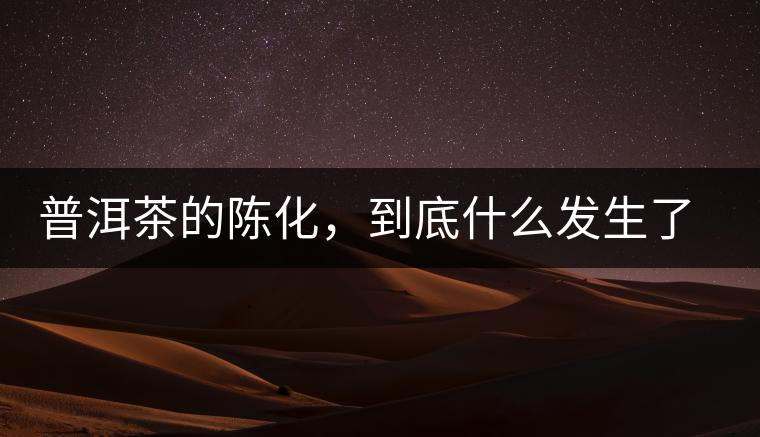 普洱茶的陳化，到底什么發(fā)生了哪些變化？