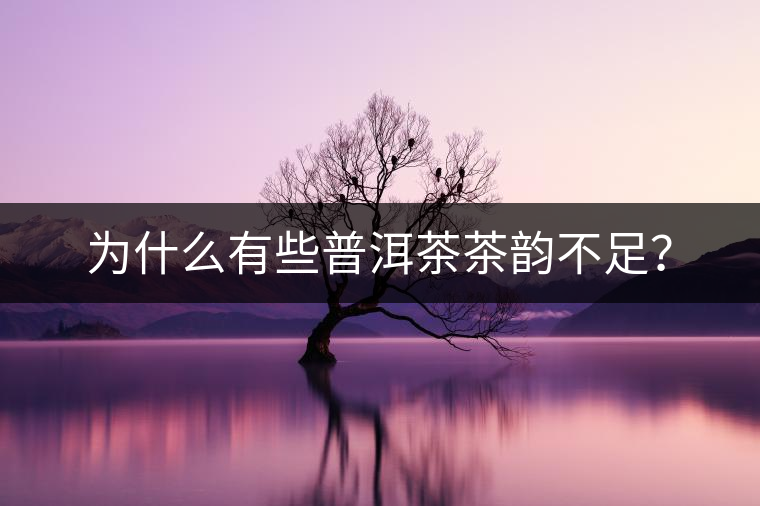 為什么有些普洱茶茶韻不足？