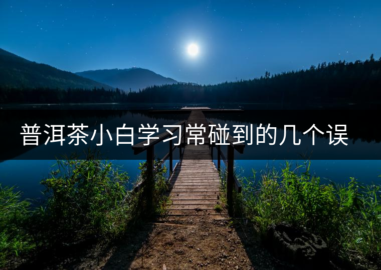 普洱茶小白學(xué)習(xí)常碰到的幾個誤區(qū)