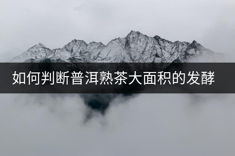 如何判斷普洱熟茶大面積的發(fā)酵過(guò)度？