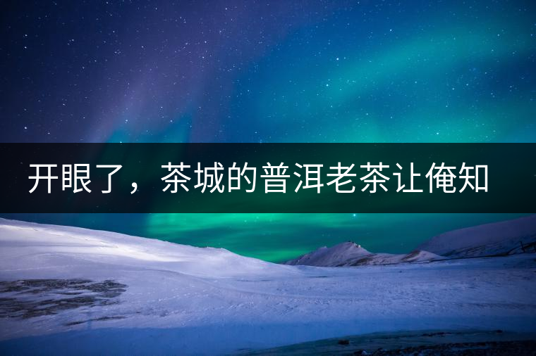 開眼了，茶城的普洱老茶讓俺知道了老茶樹