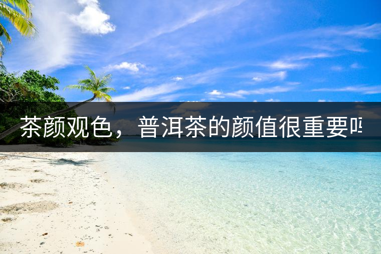 茶顏觀色，普洱茶的顏值很重要嗎？