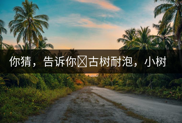 你猜，告訴你?古樹耐泡，小樹、臺(tái)地不耐泡都是什么心理？
