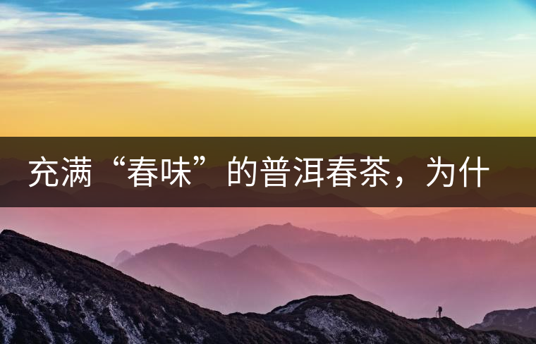 充滿“春味”的普洱春茶，為什么值得期待？