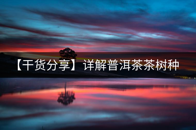【干貨分享】詳解普洱茶茶樹種類分類 【干貨分享】詳解普洱茶茶樹種類分類