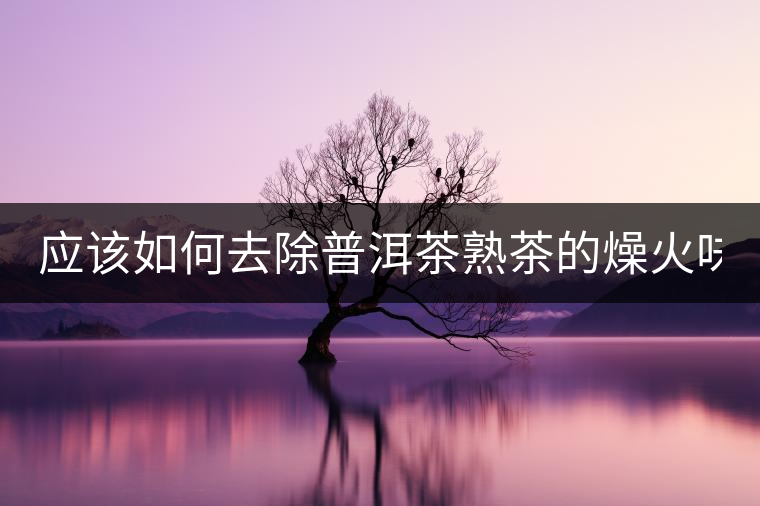 應(yīng)該如何去除普洱茶熟茶的燥火味？