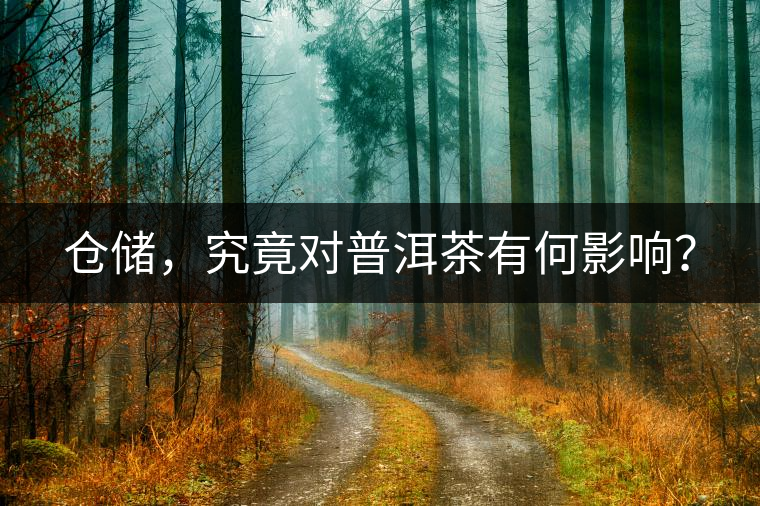 倉儲，究竟對普洱茶有何影響？