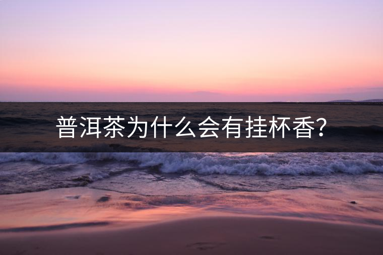 普洱茶為什么會有掛杯香？
