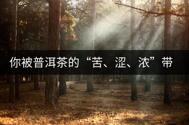 你被普洱茶的“苦、澀、濃”帶入“歧途”了嗎？