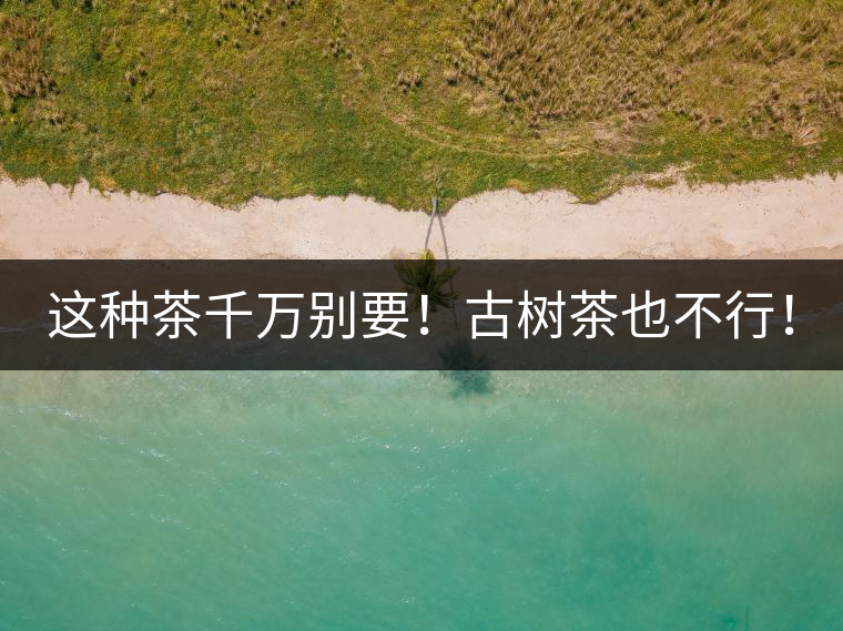 這種茶千萬(wàn)別要！古樹茶也不行！