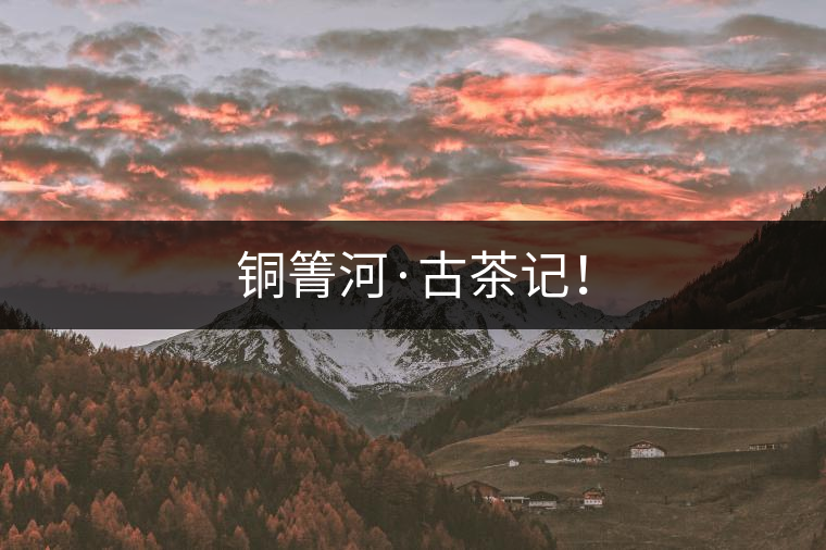 銅箐河·古茶記！
