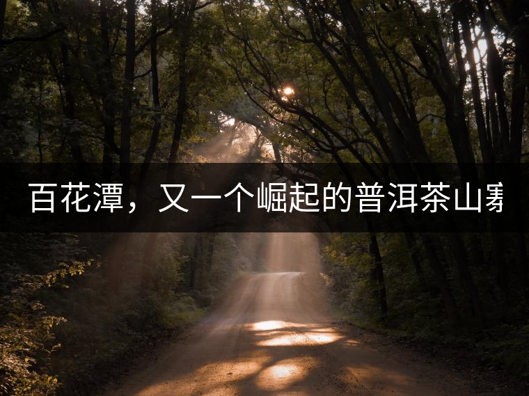 百花潭，又一個(gè)崛起的普洱茶山寨！