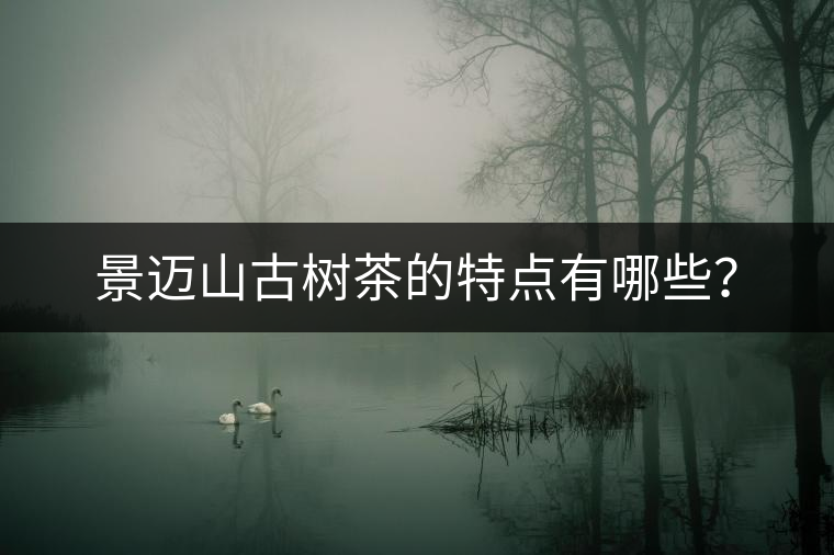 景邁山古樹茶的特點(diǎn)有哪些？