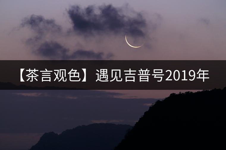 【茶言觀色】遇見吉普號(hào)2019年藏山603老班章