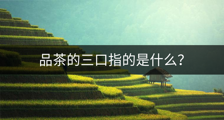 品茶的三口指的是什么？