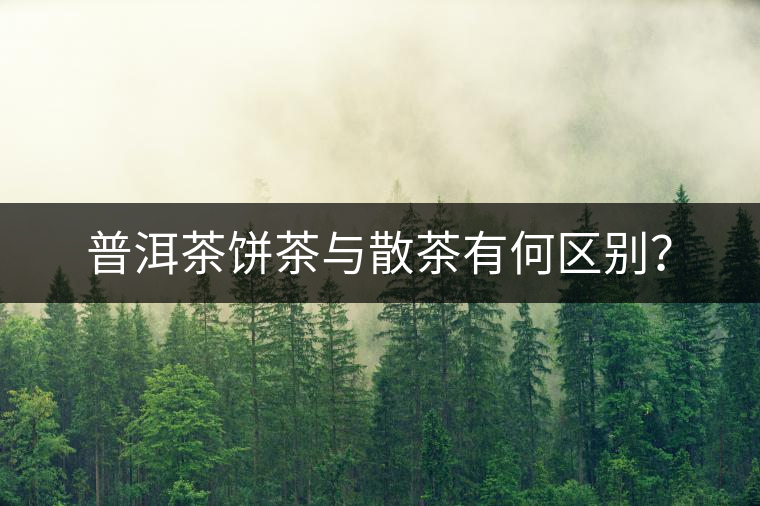 普洱茶餅茶與散茶有何區(qū)別？