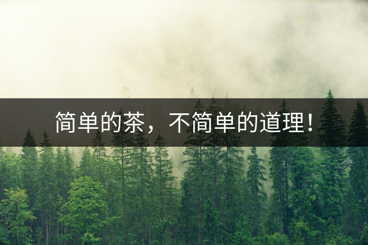 簡(jiǎn)單的茶，不簡(jiǎn)單的道理！