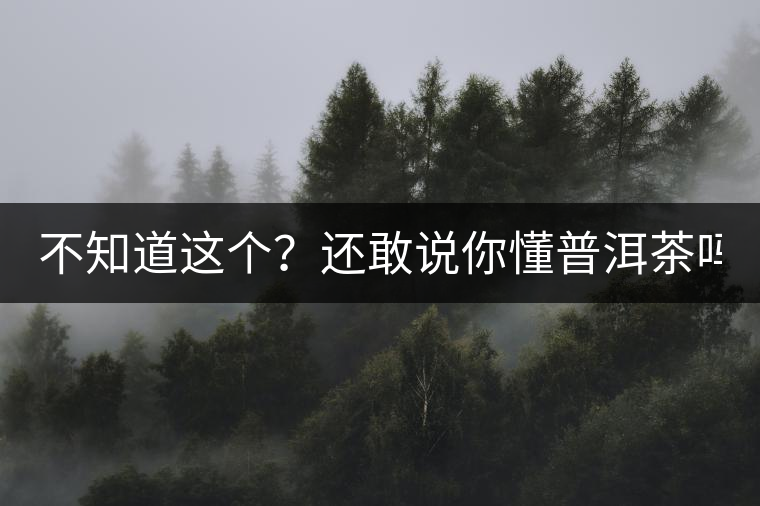 不知道這個？還敢說你懂普洱茶嗎？