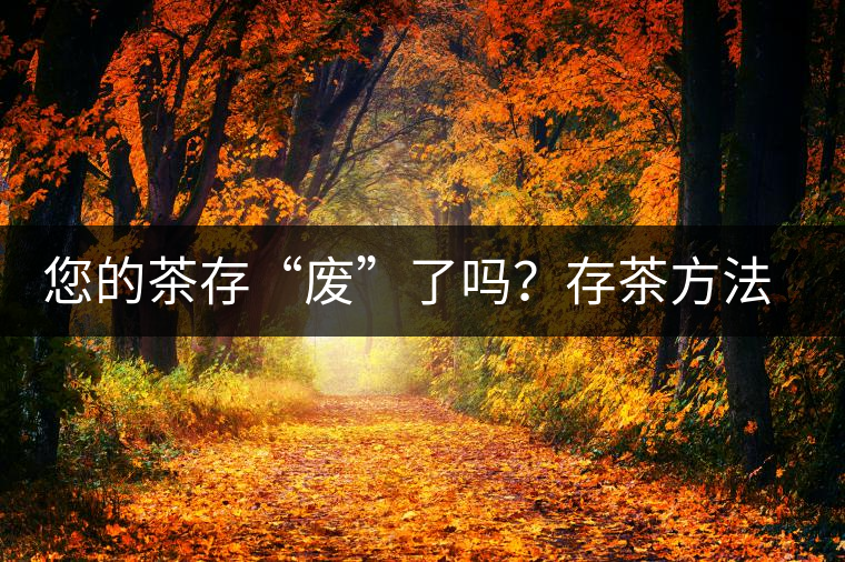 您的茶存“廢”了嗎？存茶方法與技巧，把香留??！