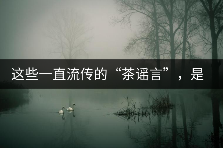 這些一直流傳的“茶謠言”，是時(shí)候知道真相了