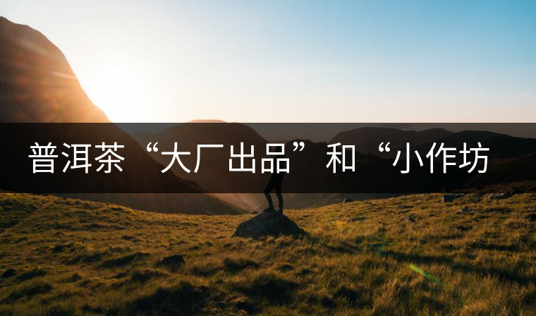 普洱茶“大廠出品”和“小作坊”，哪一個更值得購買？