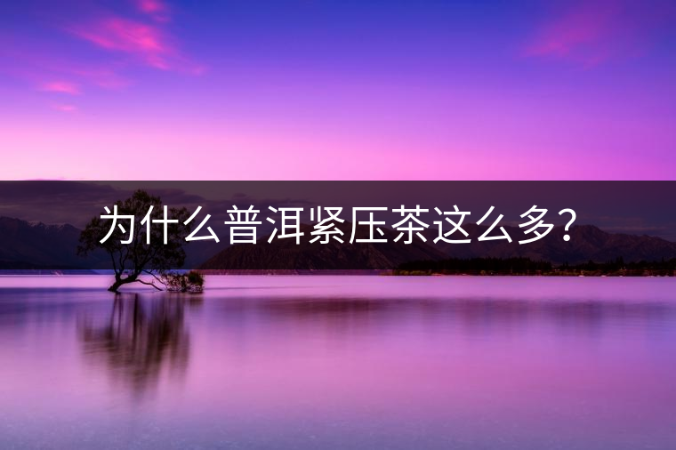 為什么普洱緊壓茶這么多？