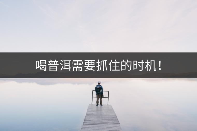 喝普洱需要抓住的時機！