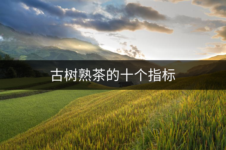 古樹熟茶的十個指標(biāo) 古樹熟茶的十個指標(biāo)
