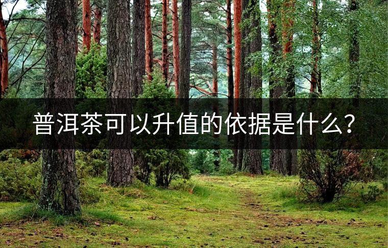 普洱茶可以升值的依據(jù)是什么？