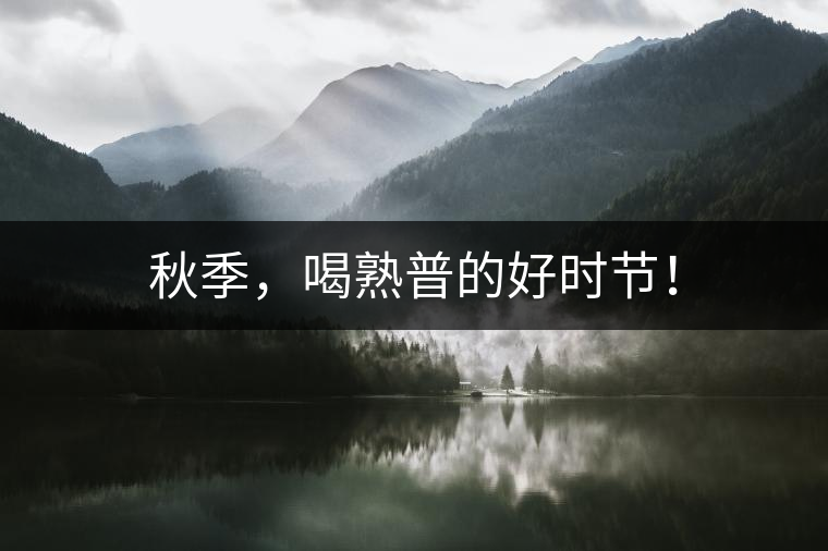 秋季，喝熟普的好時節(jié)！